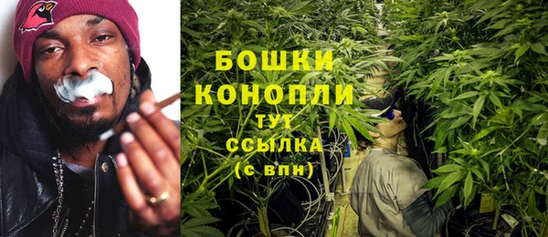 СК Михайлов