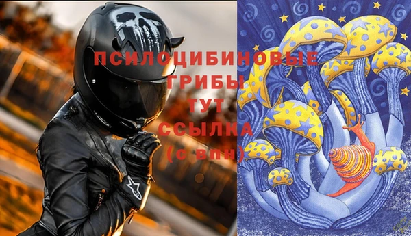 амф Михайловск