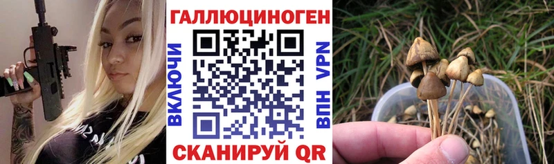 Галлюциногенные грибы GOLDEN TEACHER  купить наркотик  Горячеводский 